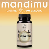 Lion's mane (Soplówka jeżowata)